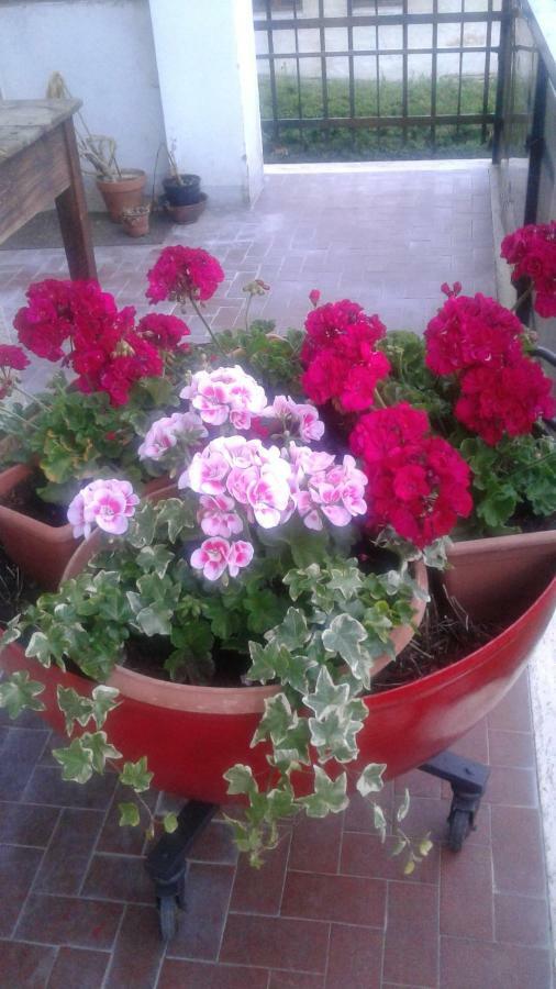 Apartament Chez Margot Châtillon Zewnętrze zdjęcie
